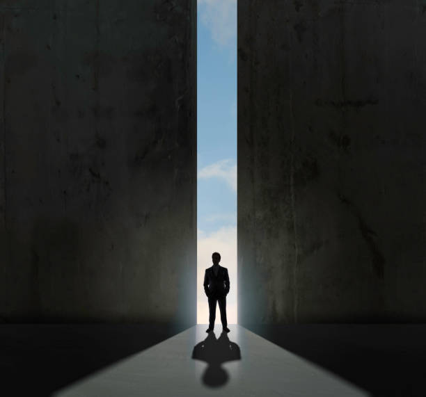 istock The door to success 1028017654