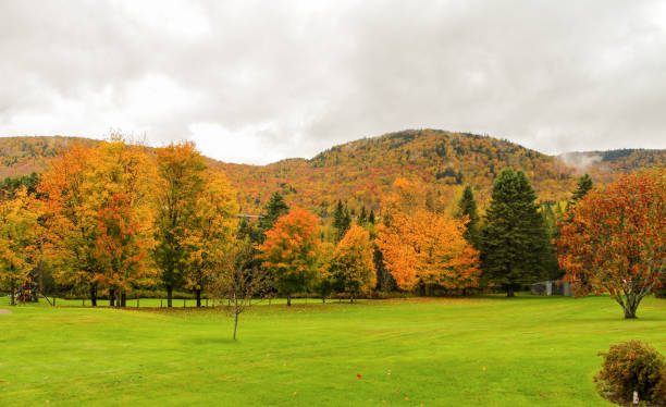 istock Colorful mountains during autumn at Quebec, Canada 1028026316