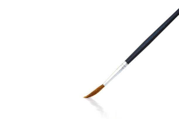 istock paint brush set tool art  on white background 1028035150