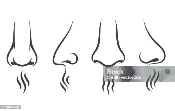 Icônes Dodeur Nez Vecteurs libres de droits et plus d'images vectorielles de Nez - Nez, Odeur agréable, Icône