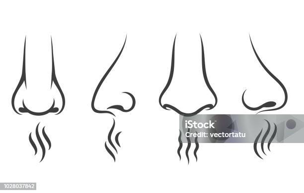 鼻臭いアイコン - 鼻のベクターアート素材や画像を多数ご用意 - 鼻, 芳香, アイコン