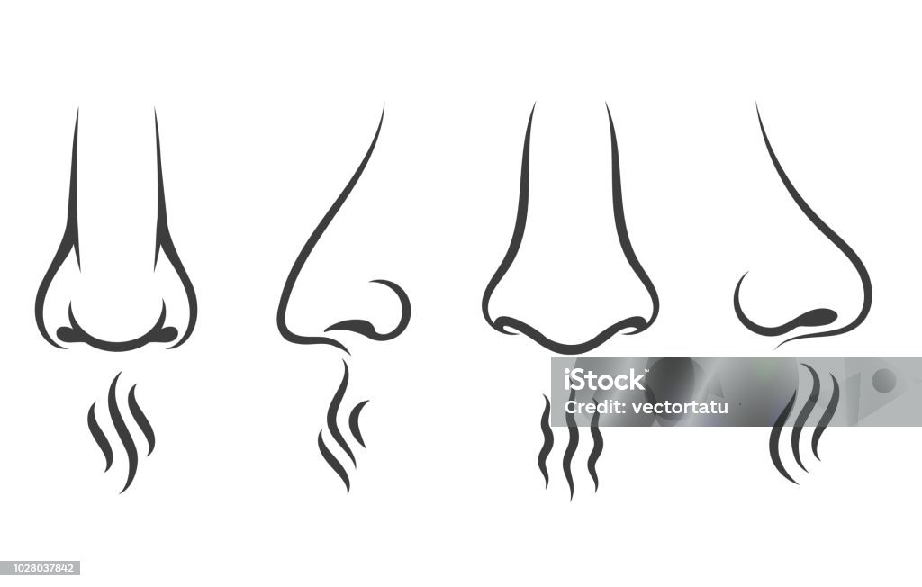 Nose smell icons Nose smell icons. Human smelling and breathe nose senses isolated on white background Nose stock vector