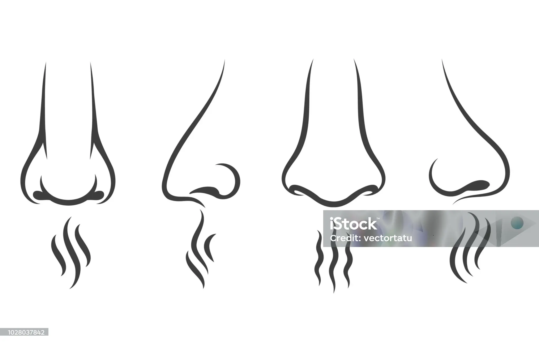 https://media.istockphoto.com/id/1028037842/vector/nose-smell-icons.webp?s=2048x2048&w=is&k=20&c=7MYsQg8LfLOifSfOmmQuLZ5DRMIiqMBC4BiwuJhnQBM=