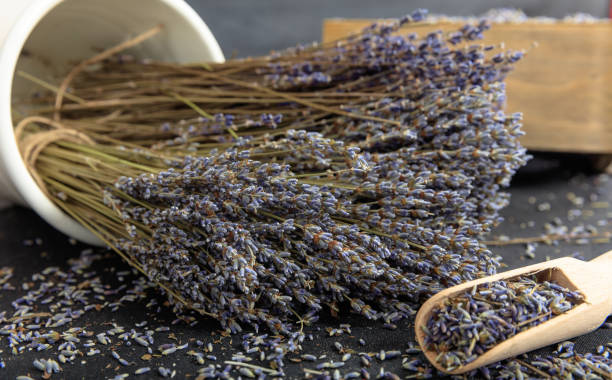 istock Dried lavender bunch on black background 1028042228