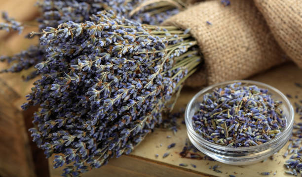 istock Dried lavender bunch on a wooden table 1028042254