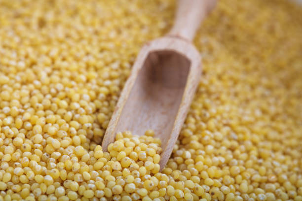 istock Wooden scoop and millet 1028044458