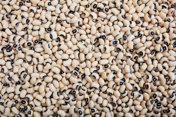 istock Black eyed peas background 1028044636