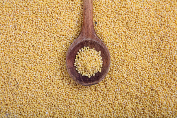 istock Wooden spoon on millet background 1028044644