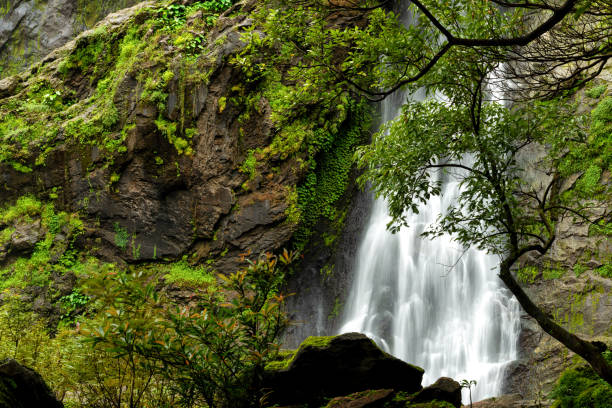 istock Beautiful waterfall in the national park forest at Khlong Lan Waterfall, Kamphaeng Phet Thailand 1028045312