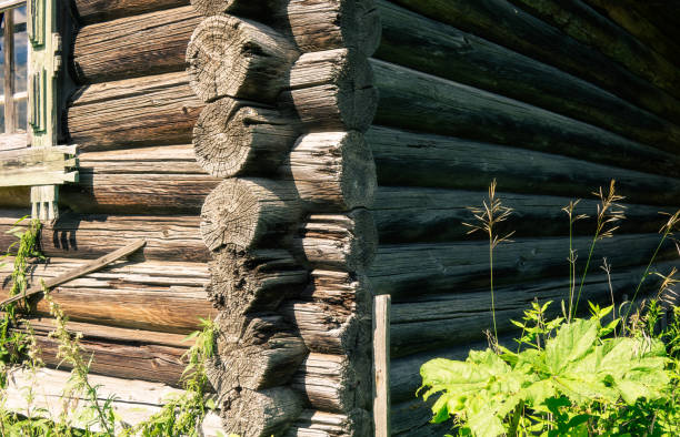 istock Abandoned house.Nail in the wall. 1028056312