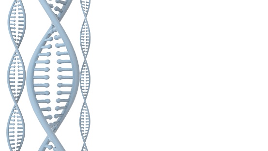 DNA Double Helix, on white background. 3D rendering