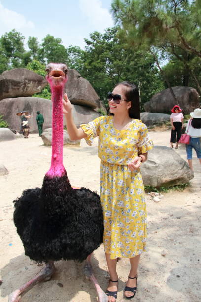 woman traveling to hon trong mai in vietnam