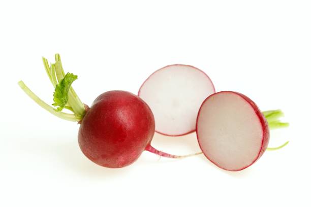 istock Red radish bulbs one cut in half, on white background. 1028067292