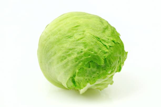 iceberg lettuce, on white background. - iceberg lettuce imagens e fotografias de stock