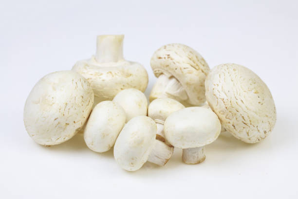 Bunch of button mushrooms, on white background.