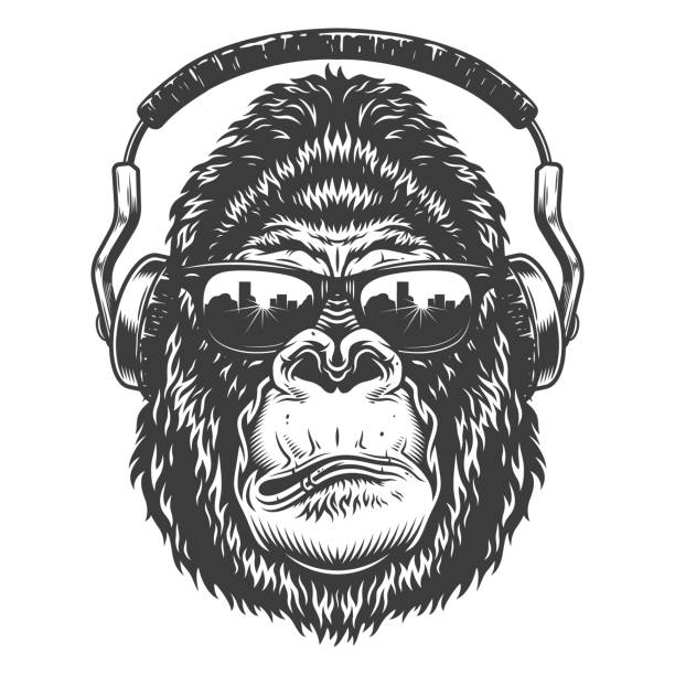 Serious gorilla in monochrome style Serious gorilla in monochrome style with headphones. Vector illustration serious monkey stock illustrations