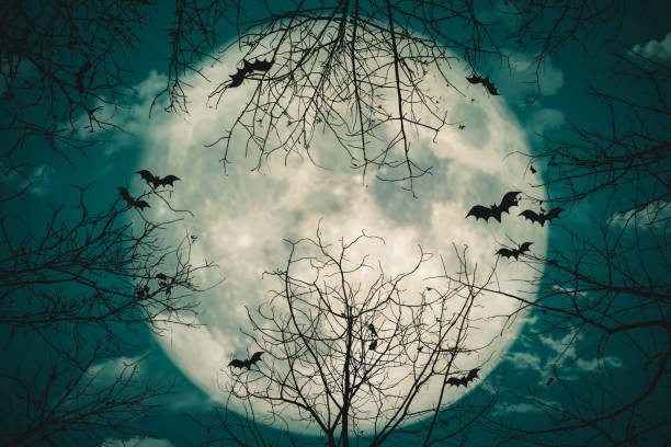 istock Halloween background. The spooky forest with full moon background 1028074334