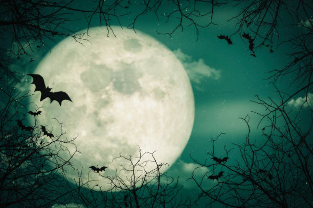 istock Halloween background. The spooky forest with full moon background 1028074622