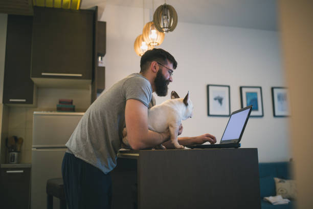 istock Handsome man browsing internet on laptop on kitchen counter with his dog 1028075138