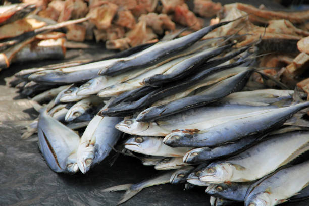 istock Dried Fishes 1028078716