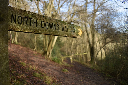 North Downs Way fingerpost set within a woodland section of the southern England hiking route within the Surrey Hills.