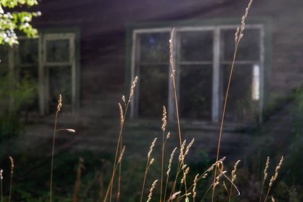 istock Flowers at the window. 1028092440