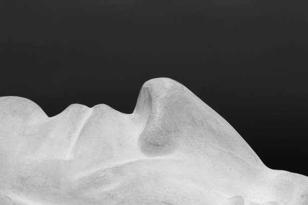 istock Gypsum head black-white look to the top 1028093230