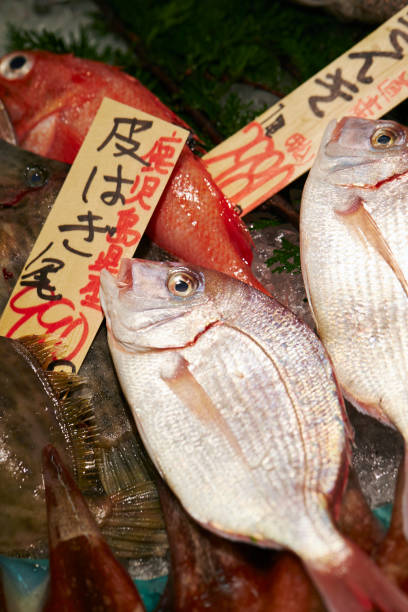 istock Japanese fish market 1028108336