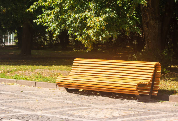 istock garden bench in the city park 1028108638