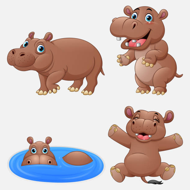 Cartoon Funny Hippos Collection Set Stock Illustration - Download Image Now  - Hippopotamus, Water, Cartoon - iStock