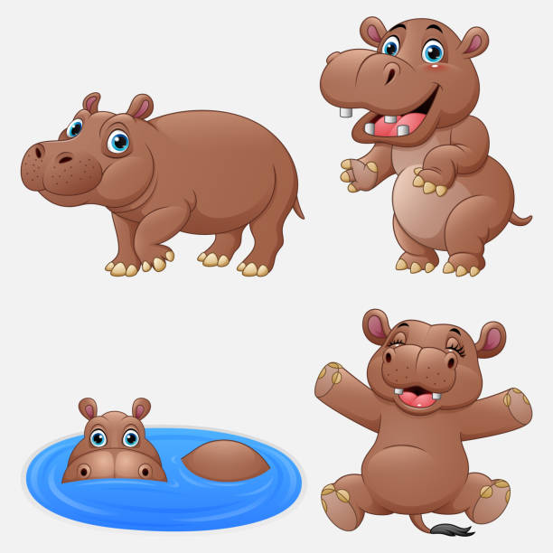 Cartoon Funny Hippos Collection Set Stock Illustration - Download Image Now - Hippopotamus, Water, Cartoon - iStock Cartoon Funny Hippos Collection Set Stock Illustration - Download Image Now - Hippopotamus, Water, Cartoon - iStock