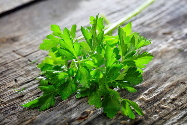 istock Branch of fresh green parsley set on old wooden surface 1028111486