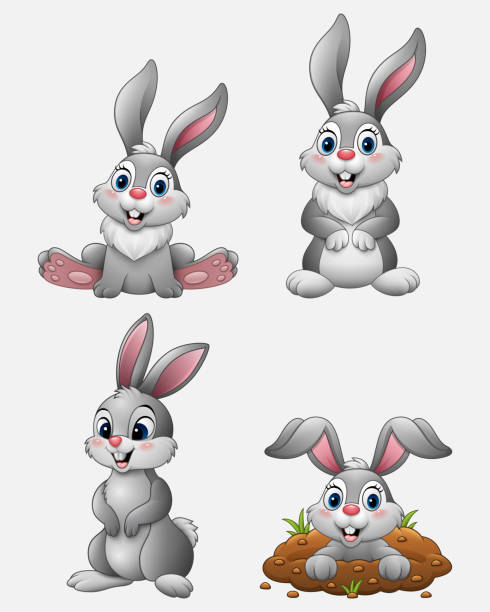 illustrazioni stock, clip art, cartoni animati e icone di tendenza di cartoon divertente conigli set collezione - rabbit hairy gray animal