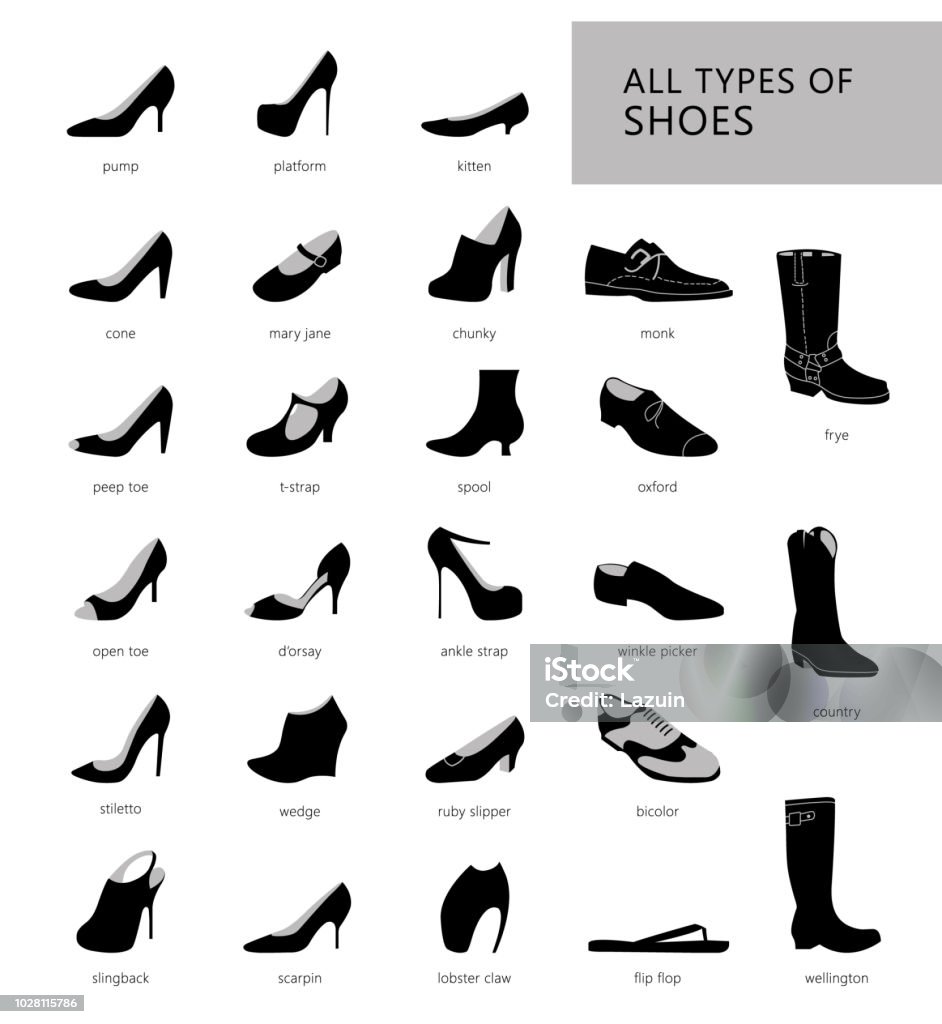 all types of shoes Collection of summer, autumn and winter shoes. Set of fashionable women's shoes. Different types of footwear. Vector silhouettes from shoes. Adult stock vector