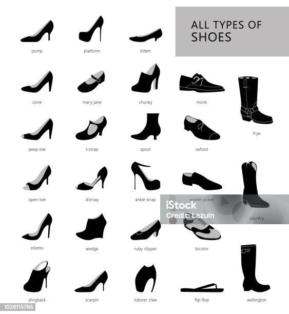 All Types Of Shoes Stock Illustration - Download Image Now - Adult, Animal, Autumn