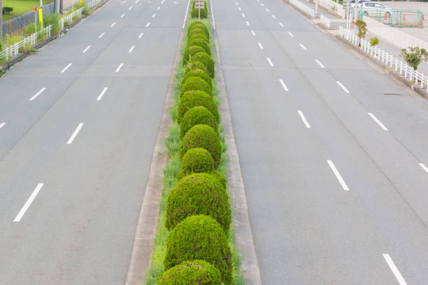 Asphalt empty road with green bush on the traffic island.
