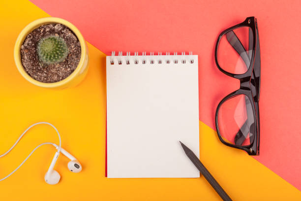 istock Succulent plant and blank notebook paper 1028122580