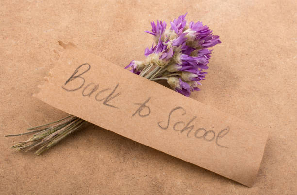 istock Back to school lettering with flower bouquet 1028127658