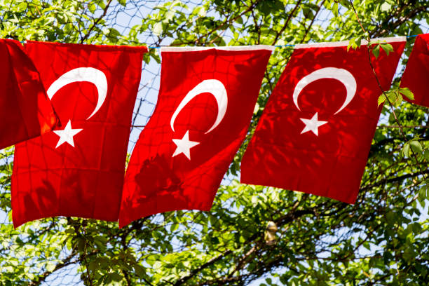 istock Turkish national flag  in view 1028127700