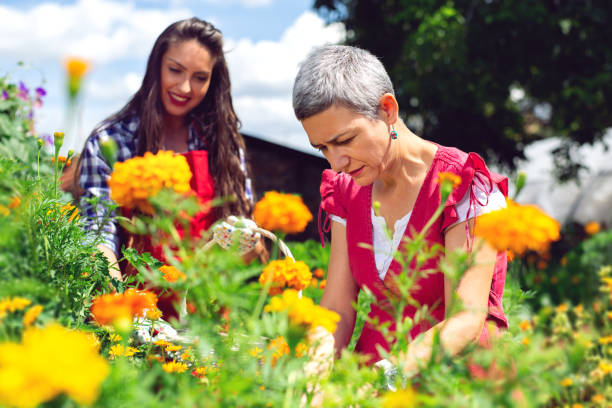 istock Mother and daughter working in garden 1028134770