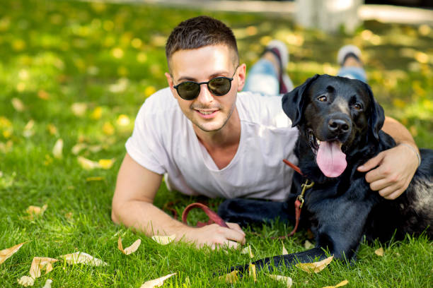 istock guy with a dog labrador on the street playing 1028135888