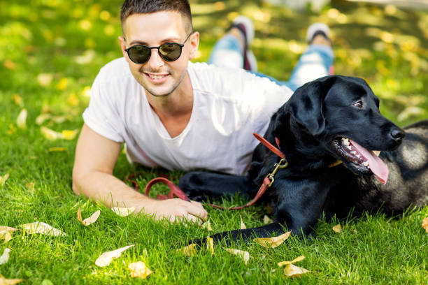istock guy with a dog labrador on the street playing 1028135900