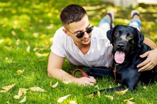 istock guy with a dog labrador on the street playing 1028135910