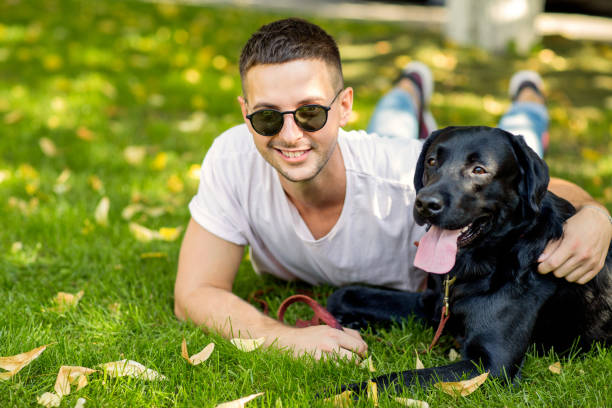 istock guy with a dog labrador on the street playing 1028135920