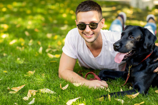istock guy with a dog labrador on the street playing 1028135922