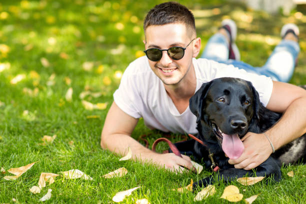 istock guy with a dog labrador on the street playing 1028135972