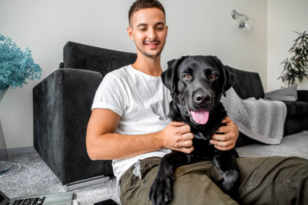 istock freelancer guy sitting at home working with a dog in an embrace, black labrador. 1028140040