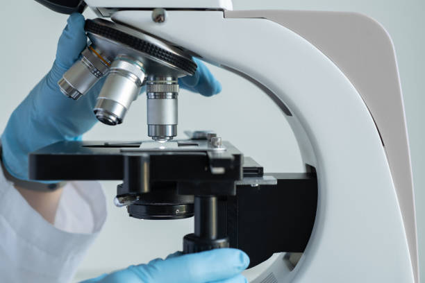 istock Microscope close-up shot in the laboratory 1028142952