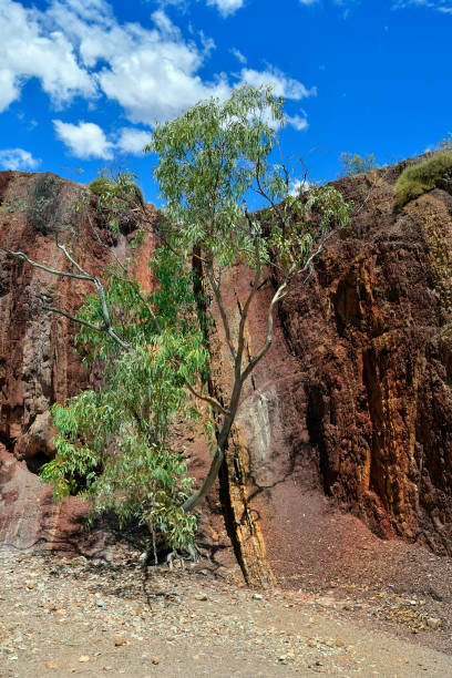 istock Australia, Northern Territory, McDonnell Range, Ochre Pits 1028147576