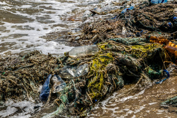 istock Pollution of the world's oceans with plastic. Pacific ocean, USA 1028147638